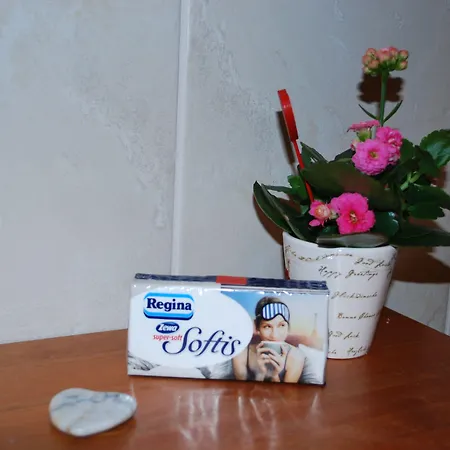 Haus Gruene Idylle 게스트하우스 반넨비츠