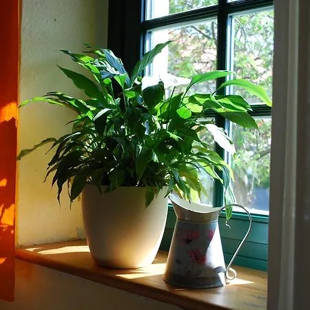 Haus Grüne Idylle Bannewitz