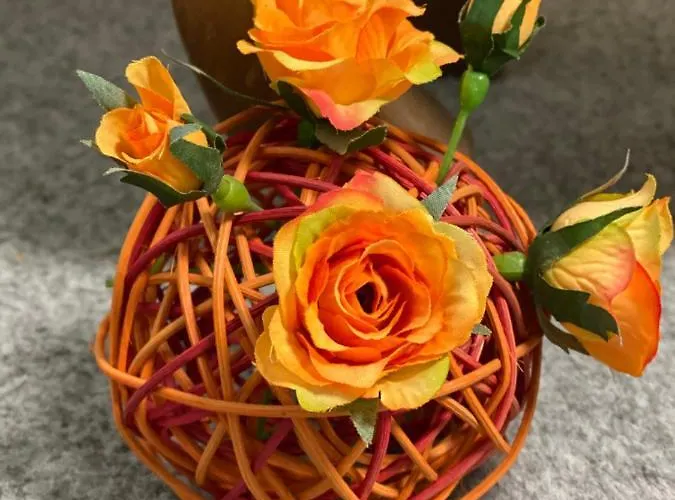 Affittacamere Haus Gruene Idylle