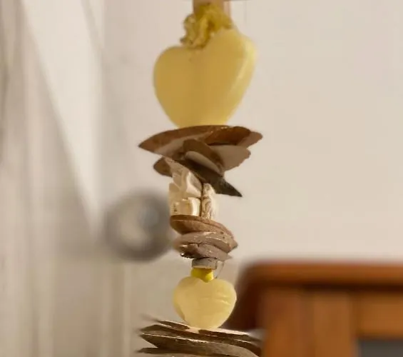 Affittacamere Haus Gruene Idylle Bannewitz