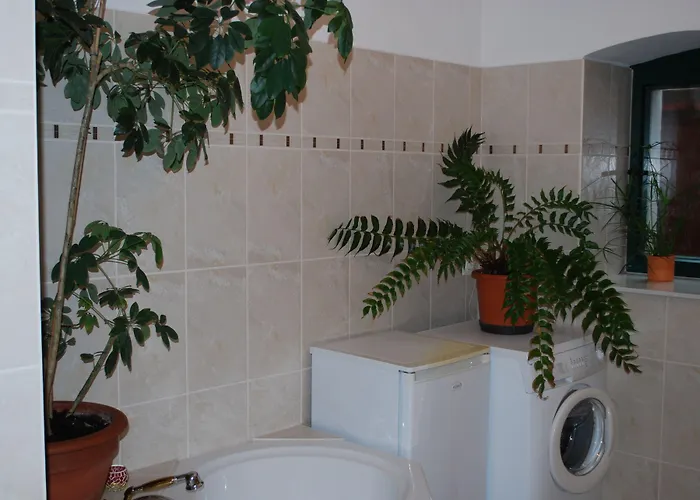 Affittacamere Haus Gruene Idylle Bannewitz