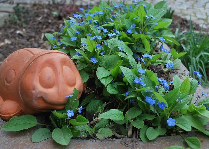 Haus Gruene Idylle 4*