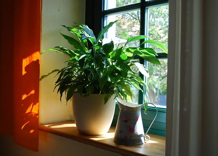 Haus Gruene Idylle Bannewitz